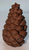 Pine Cone Cache 3D Printed