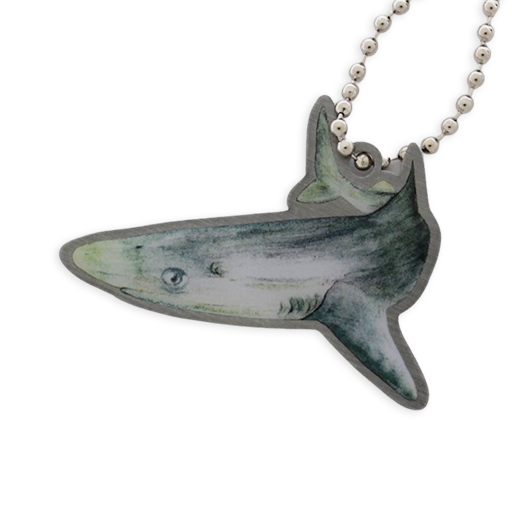 Shark Travel Tag - Spiny Dogfish