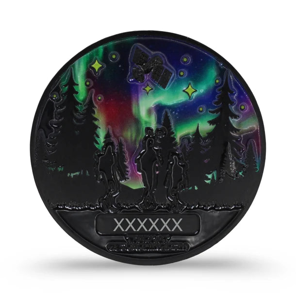 International Geocaching Day 2026 Geocoin