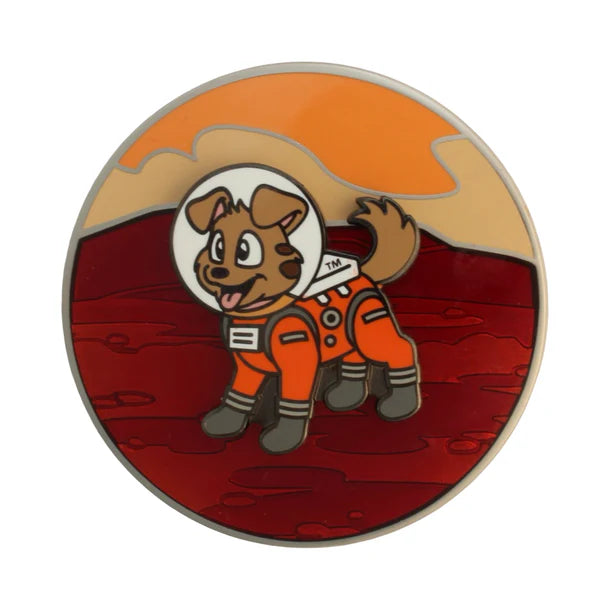 High-Low Two-Sided Geocoin Set