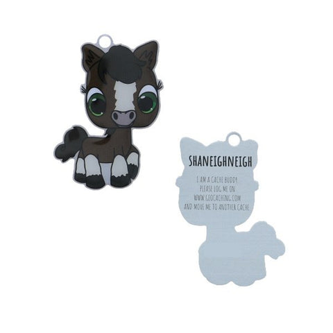 Shaneighneigh the Trackable Tag