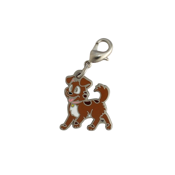 Tracker Nano Geocoin/Zipper pull/Charm with clasp