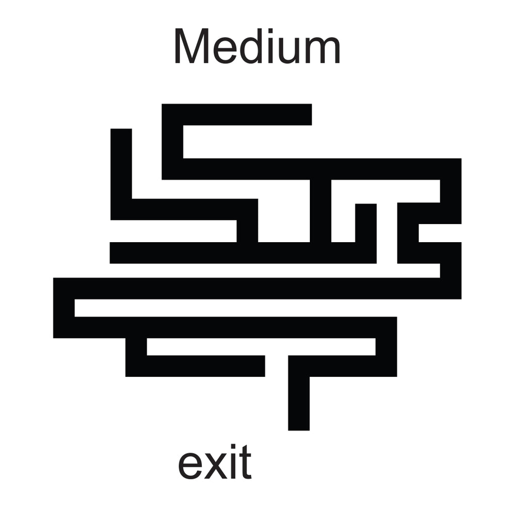 Maze Cache 3D Printed Medium
