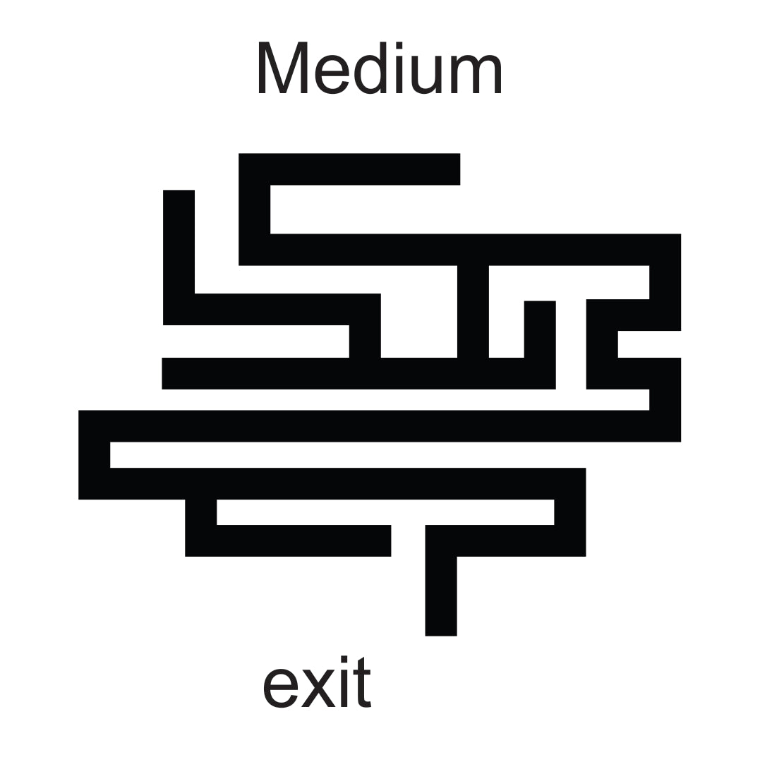 Maze Cache 3D Printed Medium