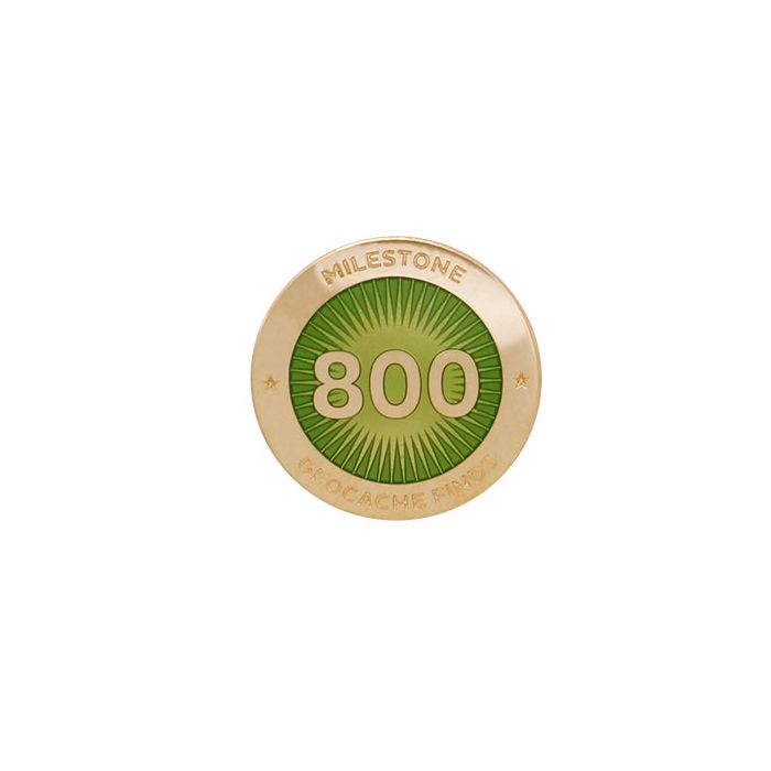 Milestone Pin - 800 Finds